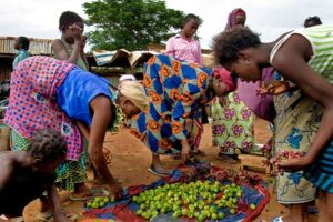 Women in nNigeria.jpg