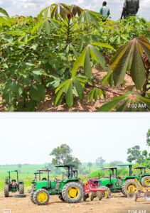 Agbeyewa Farms