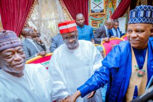 VP Shettima Rabiu Kwankwaso and other guests.jpg