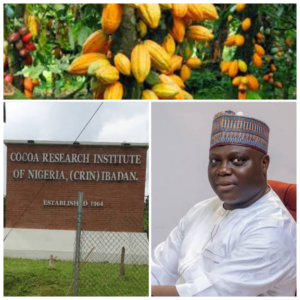 A cocoa plantation, top, Dr Adebola, buttom right and Cocoa Research Institute of Nigeria's Headquarters, Ibadan.jpg