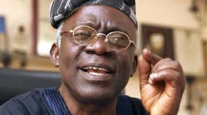Femi Falana6.jpg