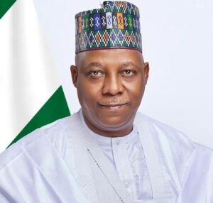 Vice President Shettima.jpg
