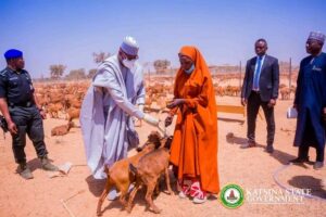 Governor Dikko Umaru Raddahanding over goats to a woman beneficiary