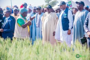 Governor Namadi, Minister of Agriculture and Food Security and other government officials inside Jigawa wheat farm in Dabi, Ringim