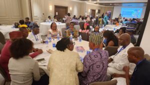 Participants at the flag off of 2025 Nigeria''s VNR in Lagos