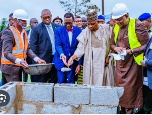 VP Shettima when he performed the groundbreaking ceremony of SAPZ in Calabar. With him is Dr Akinwumi Adesina