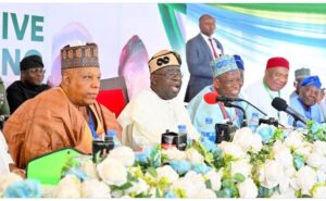 L-R: VP Shettima, President Tinubu, D Ganduje, Gov Uzodimma Chief Akande and others