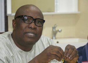 Senator Babafemi Ojudu, interview2