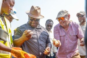 President Bio observing locally produced onions to achieve food sufficiency