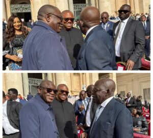 President Bola Tinubu, right, Dr Kayode Fayemi, left, Mr Peter Obi, centre and others at The Varican