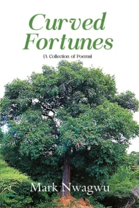 Curved-Fortunes-Book-Cover-1_page-0001fghjj2