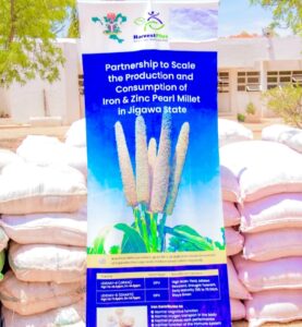 Biofortified seeds