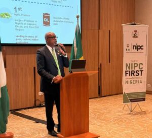 Governor Abiodun spoking at the Ogun State Investment Summit held in Rio de Janeiro, Brazil, on the sidelines of the BRIC Summit