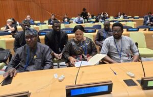 SDGs: Orelope-Adefulire Presents Nigeria's National Statement at UN High Level Political Forum