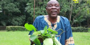 Obafemi Jegede6