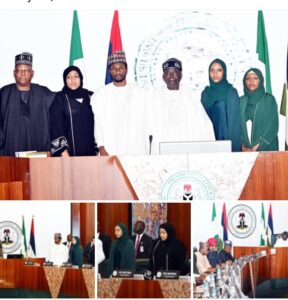 President Tinubu and others at the meeting