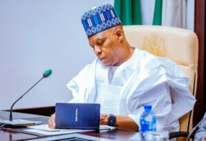 VP Kashim Shettima