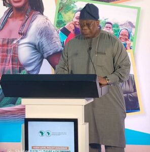Professor Olaopa during the High-Level Dialogue of AfDB on Bridging the Gap-Access to Finance and Empowering Youth and Women for Agribusiness Success