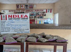 The seized Cannabis Sativa