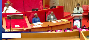 Professor Joash Amupitan, right, at the Senate. Channels photo