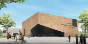 The Yemisi Shyllon Museum of Art