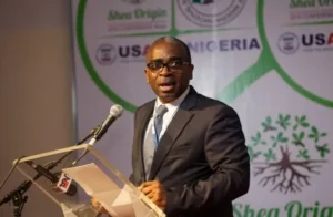 Olusegun Awolowo
