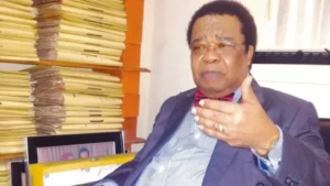 Professor Bolaji Akinyemi