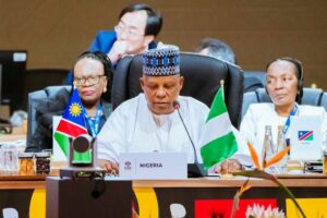 VP Shettima who reesented President Tinubu at the G20 Summit