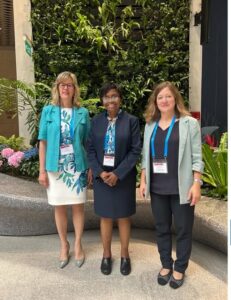 Nigeria's NAFDAC boss, Professor Adeyeye, centre, and two other officials