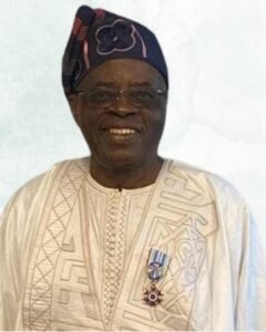 Professor Babafemi A Badejo