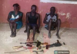 The alleged culprits