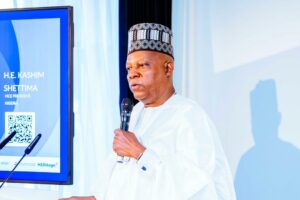 VP Shettima in Davos