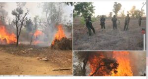 Camps of the bandits set on fire