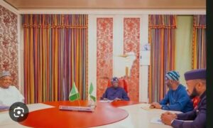 President Tinubu, centre, Senator Bagudu, left, and the guests
