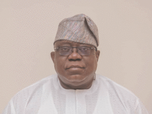 Professor Tunji Olaopa