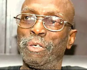 Biodun-Jeyifo irugbon