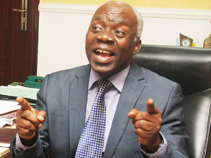 Femi Falana, SAN2