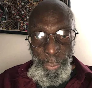 Professor-Biodun-Jeyifo.png-copy