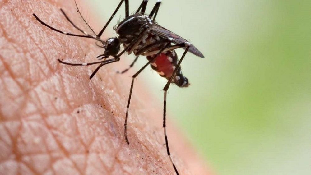 Kogi Records Drop in Malaria Prevalence — Commissioner 