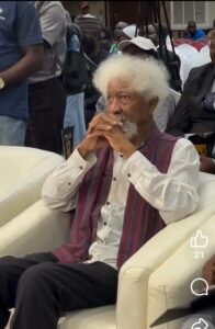Professor Wole Soyinka